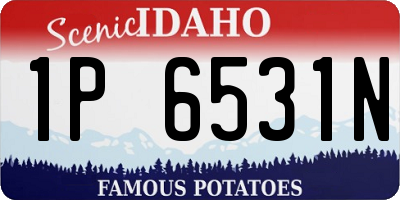 ID license plate 1P6531N