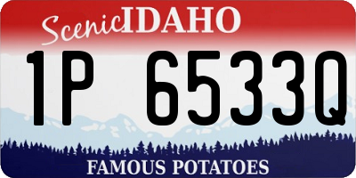 ID license plate 1P6533Q