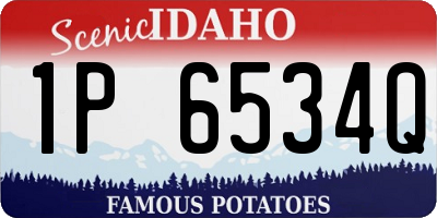 ID license plate 1P6534Q