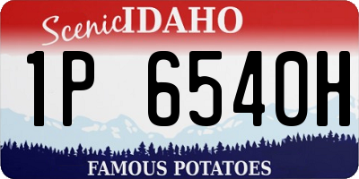 ID license plate 1P6540H