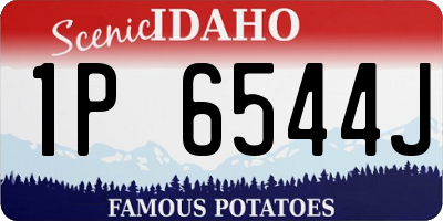 ID license plate 1P6544J