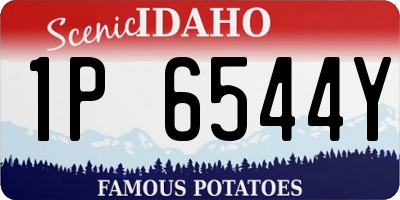 ID license plate 1P6544Y