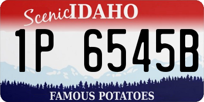 ID license plate 1P6545B