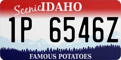 ID license plate 1P6546Z