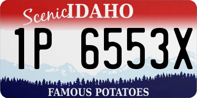 ID license plate 1P6553X