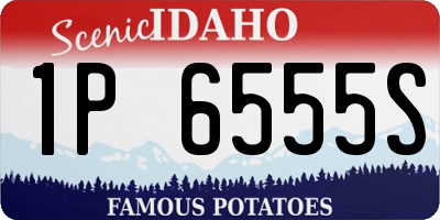 ID license plate 1P6555S