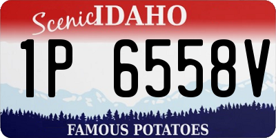 ID license plate 1P6558V
