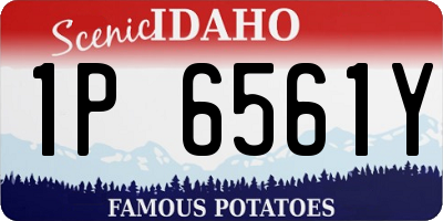ID license plate 1P6561Y