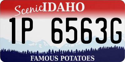 ID license plate 1P6563G