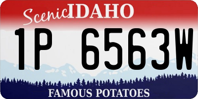 ID license plate 1P6563W