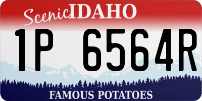 ID license plate 1P6564R