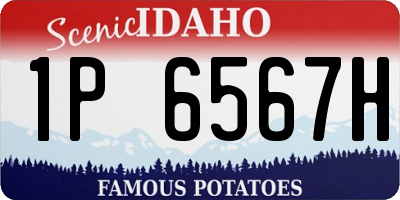 ID license plate 1P6567H
