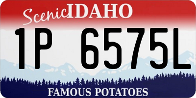 ID license plate 1P6575L