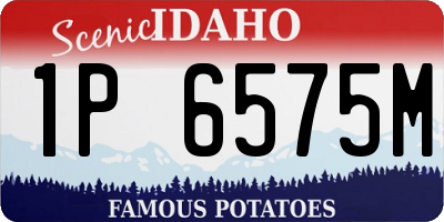 ID license plate 1P6575M