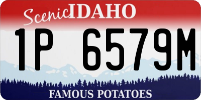 ID license plate 1P6579M