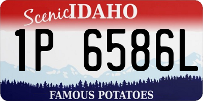 ID license plate 1P6586L