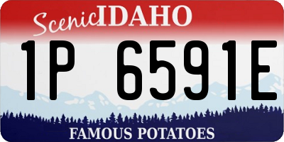 ID license plate 1P6591E