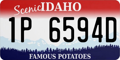 ID license plate 1P6594D