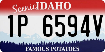 ID license plate 1P6594V