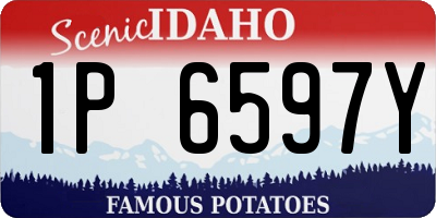 ID license plate 1P6597Y