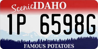 ID license plate 1P6598G