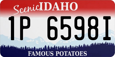ID license plate 1P6598I
