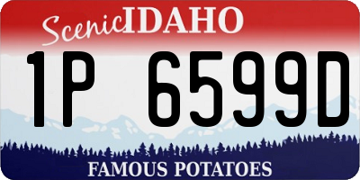 ID license plate 1P6599D
