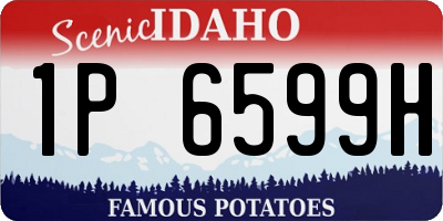 ID license plate 1P6599H