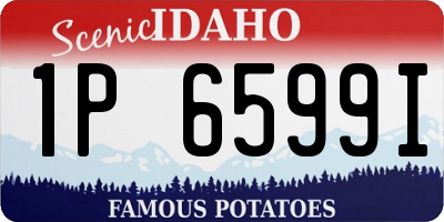 ID license plate 1P6599I