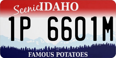 ID license plate 1P6601M