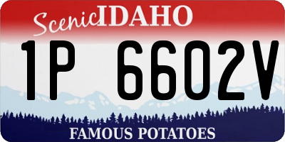 ID license plate 1P6602V