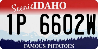 ID license plate 1P6602W
