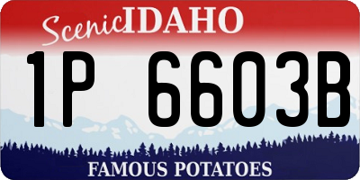 ID license plate 1P6603B
