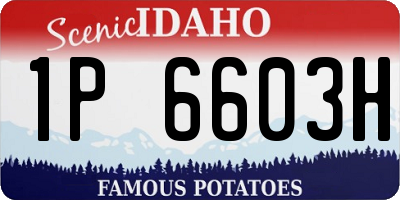 ID license plate 1P6603H