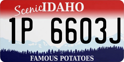 ID license plate 1P6603J