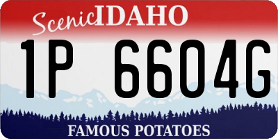 ID license plate 1P6604G