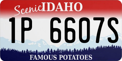 ID license plate 1P6607S