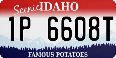 ID license plate 1P6608T