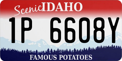 ID license plate 1P6608Y