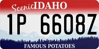 ID license plate 1P6608Z
