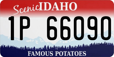 ID license plate 1P6609O