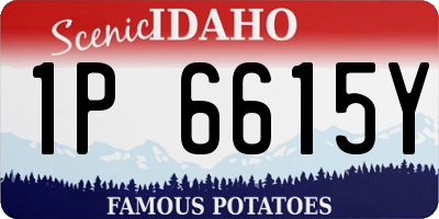 ID license plate 1P6615Y