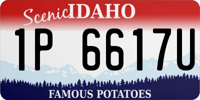 ID license plate 1P6617U