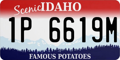 ID license plate 1P6619M