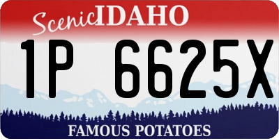 ID license plate 1P6625X