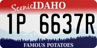 ID license plate 1P6637R