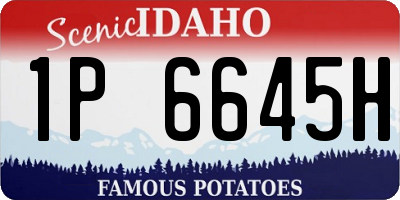 ID license plate 1P6645H