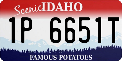 ID license plate 1P6651T