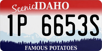 ID license plate 1P6653S