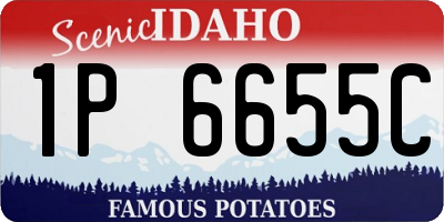 ID license plate 1P6655C